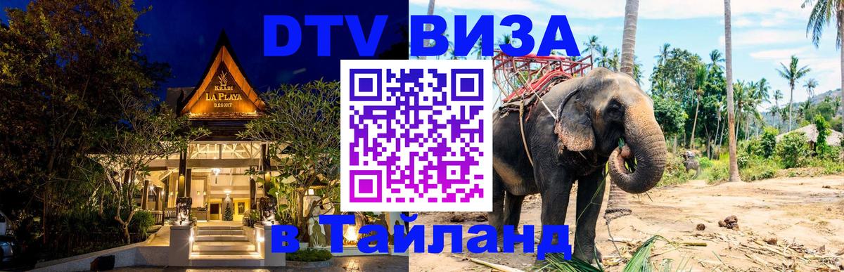 Сколько стоит DTV виза — актуальные цены, оформление даже без документов - Сызрань 